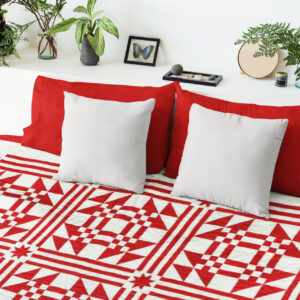 Red & White Young Man’s Fancy FINISHED QUILT Graphic Beauty