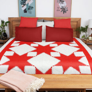Red & White Feathered Edge Star- Bold Graphic look FINISHED QUILT